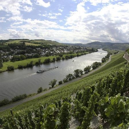 Weingut Fehres Apartment Brauneberg Exterior photo