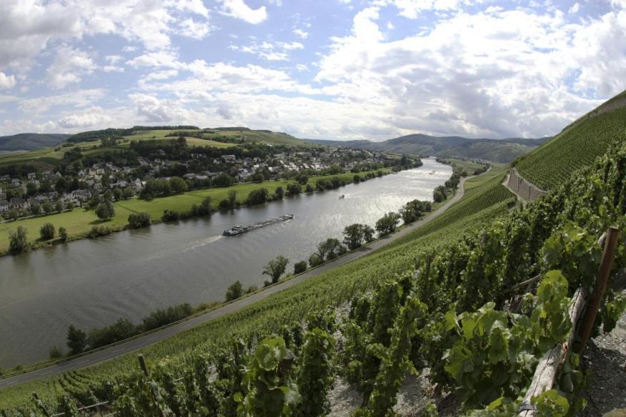 Weingut Fehres Apartment Brauneberg Exterior photo
